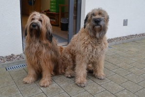 Tiere sorgen für Freude und Lebensmut